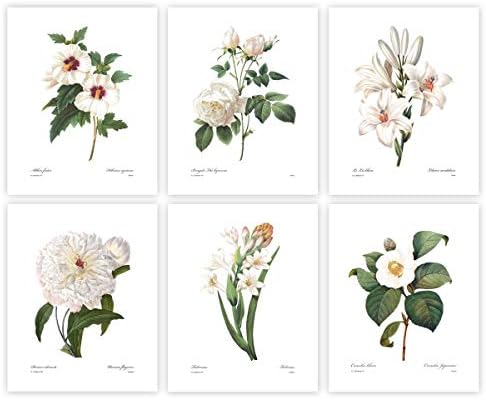 White Flower Art, French Botanical Prints - Vintage Floral Decor, Summer Wall Art, Hibiscus, Redoute Rose, Peony, Lily, Camellia, Tuberose - Set of 6, Unframed