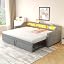 Light Gray C