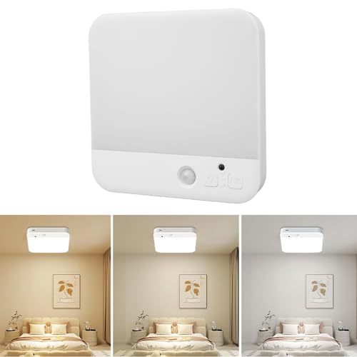 Plafonnier à détecteur de mouvement LED FTVOGUE télécommandable