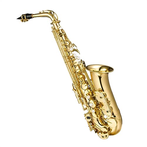 AgTbNX E tbguX{fB bJ[S[hdグ SҌ }EXs[XƃP[Xt TbNX Zbg