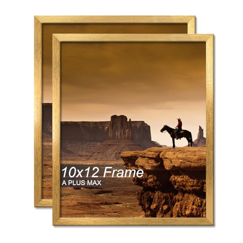 A PLUS MAX 10x12 Picture Frame Set of 2 Gold Light Weight Wall Mount