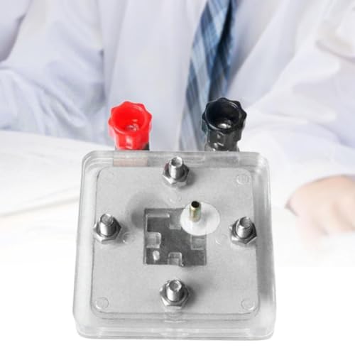 Hydrogen fuel cell Ballard system