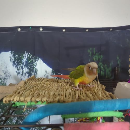 MUYG Tapetes de grama de coelho, tapete de grama de coelho, tapete de palha de tecido, tapete de fen