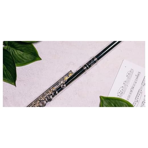 Flauta Travesera de iniciación EHFT 100 RE