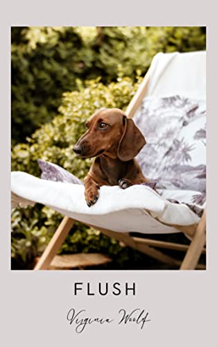 Flush (English Edition)