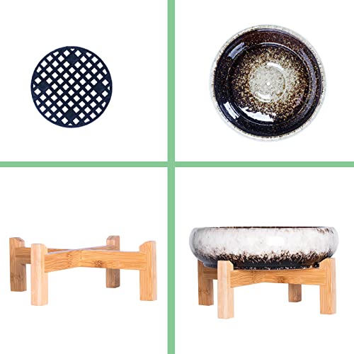 Artketty Succulent Pots With Drainage, Large Succulent Planter With Stand And Saucer Shallow Bonsai Pots Ceramic Cactus Flower Planter Pot For Indoor Plants (7.3 And 10'') #TOP2