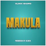 Bantu Pro Records