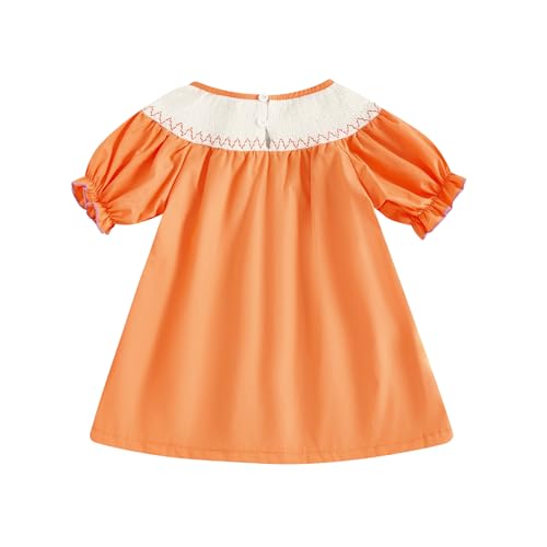 Little Kids Toddler Girl Halloween Outfits Clothes Pumpkin Embroidery Long Sleeve Plaid Fall Smocked Dress 1-7T2