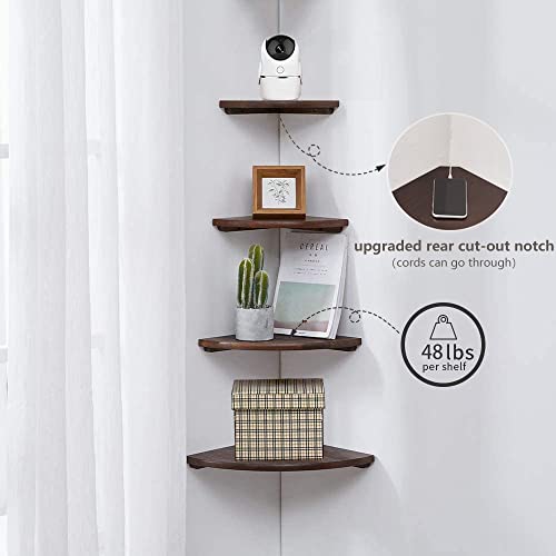 Image of Corner Shelf,16inch Walnut Solid Wood Floating Corner Shelves Wall Mount Round End Floating Speaker Rack with Wire Hole for Small Plant for Bedroom Kitchen, Living Room