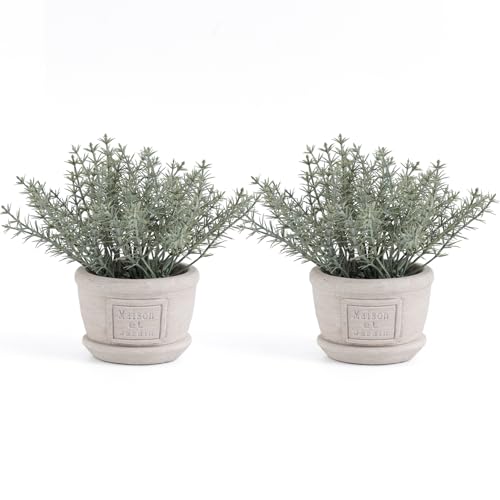 Fuxdre 2 Pack Small Artificial Plants with Rosemary, The Rosemary