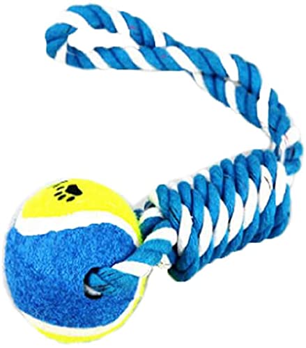 KJOET lC ybgpނ [v {[ ߋ ϋv  -28cm((1,F_)