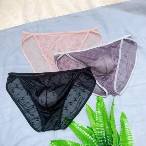 Mens Sheer Underwear Breathable Thin Pouch Mesh Slim Briefs Men Plus Size4