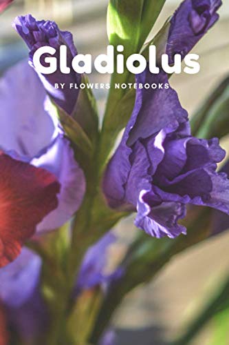 Gladiolus: Notebook for Drawing and Writing, Journal, Diary, School, Office, Home, Student, Teacher, Office Supplies (110 Page, Blank, 6 x 9 inch, 15.24 x 22.86 cm) (Flowers)