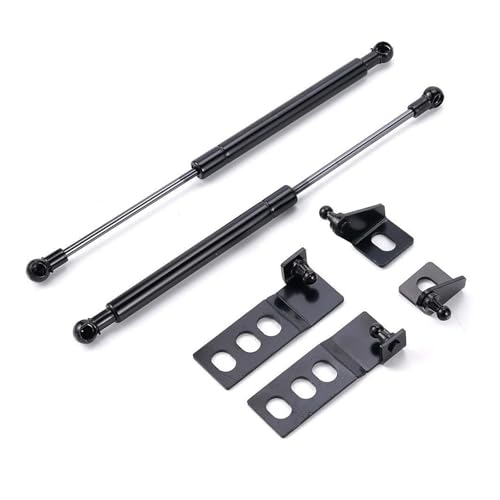 Vérin de capot pour Toyota RAV4 2019-2020 | Paire d'amortisseurs de moteur