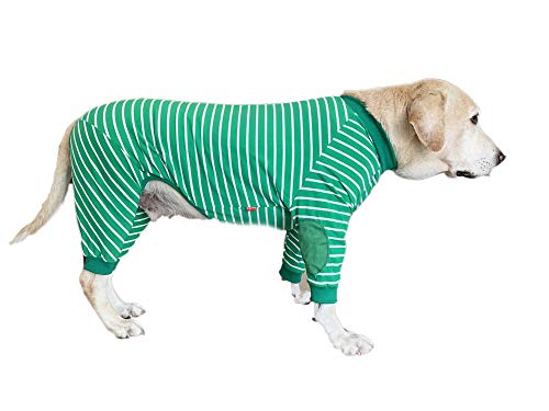 BT Bear Large Dog Clothes