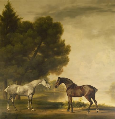 Tableau George Stubbs une baie et un gris paysage d'art vintage 60x90cm