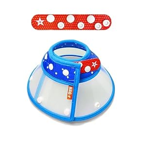 獣医器具　エリザベスカラ－各種23枚 獣医器具 エリザベスカラ－各種23枚 Amazon | 【獣医師監修