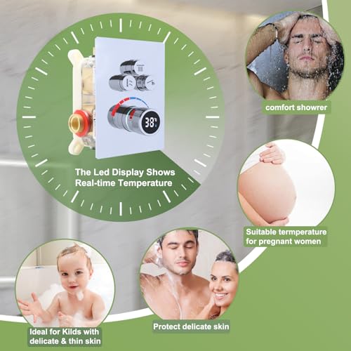 Ensemble de douche 2 fonctions avec double pluie 25,4 cm et 15,2 cm et écran LED