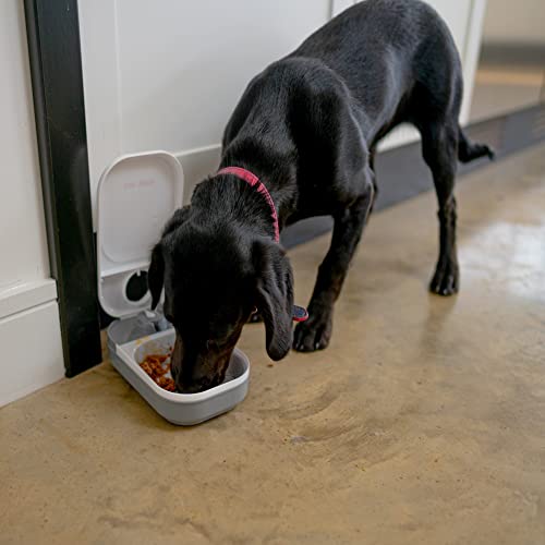 Kerbl 80895 Cat Mate Automatischer Futterspender 1 Mahlzeit, 0.295 kg, White - Image 6