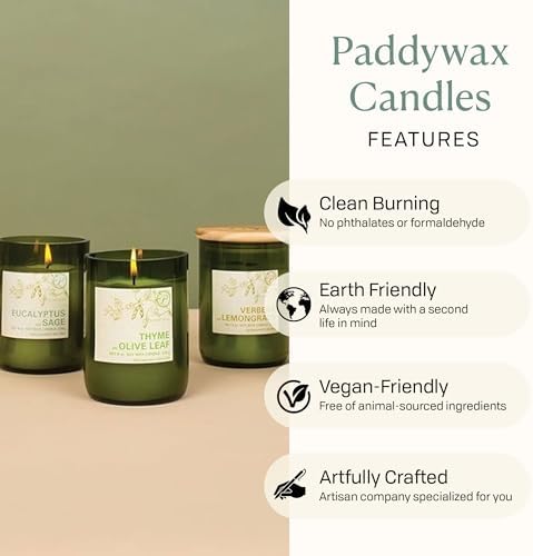 Paddywax Eco Collection Scented Soy Wax Candle in Glass Jar, Thyme & Olive Leaf Fragrance, Green Vessel with Wood Lid, 8 oz - Thumbnail 5