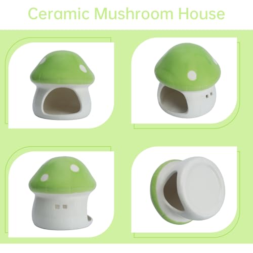 Image of Ceramic Mushroom House Betta Fish Tank Decor - Cute Aquarium Cave Hideout for Shrimp & Small Fish, Non-Toxic Safe Ornament for 5-20 Gallon Tanks (Green)