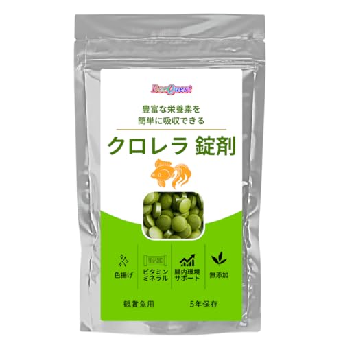 【BeeQuest】 観賞魚用 無添加クロレラ錠剤 (60g/約300粒) 金魚 プレコ ビーシュリンプ ヌマエビ メダカ 転覆病予防 餌 整腸効果