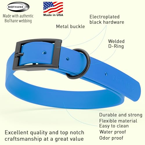 Image of Dogline Biothane Waterproof Dog Collar Strong Coated Nylon Webbing with Black Hardware Odor- Proof for Easy Care Easy to Clean High Performance Fits Small Medium or Large Dogs, Cerulean Blue
