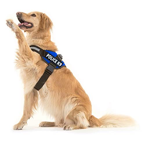 Image of 24x7 eMall Dog K9 Police Harness Dog Vest Loop Straps and Handle and Adjustable (XL- 28-38 Inch Girth, Blue)
