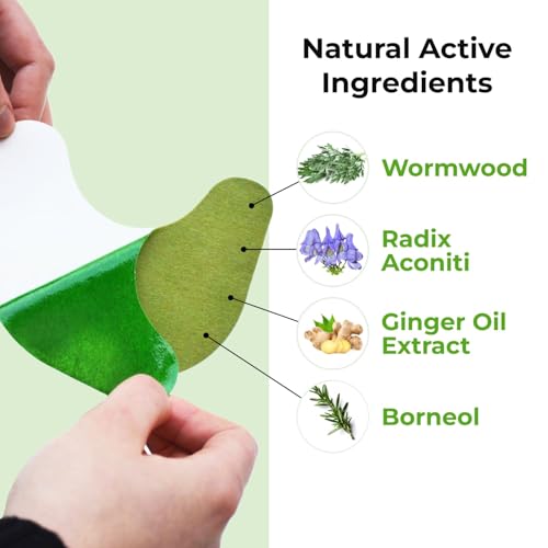 Image of Pain Relief Patches, Wormwood leaves Dried Ginger Camphor Borneol Natural Herbal Patches, Sticker 12-Hour Relief of Joint Pains Patch for Knee, Back, Neck, Shoulder Pain (10 StickerS)