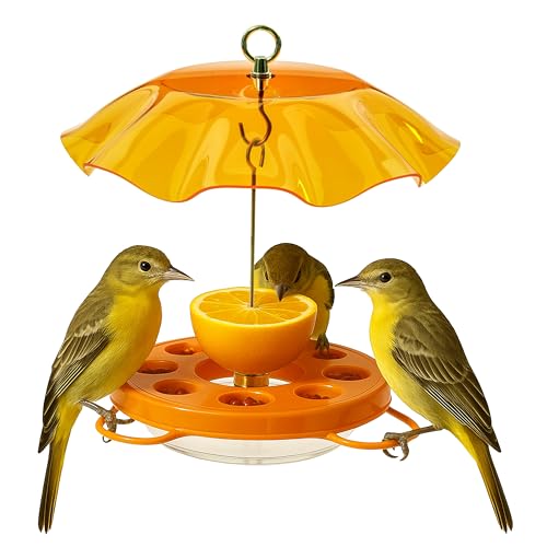 Birds Choice Oriolefest Oriole Bird Feeder with Protective Weatherguard |