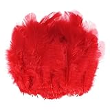 M METERXITY 100 Plumas De Silla De Montar De Gallo, 1.6-3 Pulgadas / 4-8cm Plumas Naturales Esponjosas A Granel Para Manualidades/Bodas/Atrapasueños/Decoraciones DIY [Rojo]