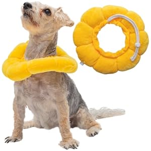 Soft Dog Cone - Adjustable Dog Recovery Cone for Small Dogs - Dog-Friendly Design Dog Cone Collar - Reliable Head and Neck Soft Cone for Dogs - Pet Cone - Dog Cone by Placely Soft Dog Cone Adjustable Dog Recovery Cone for Small Dogs Dog Friendly Design Dog Cone Collar Reliable Head and Neck Soft Cone for Dogs Pet Cone Dog Cone by Placely