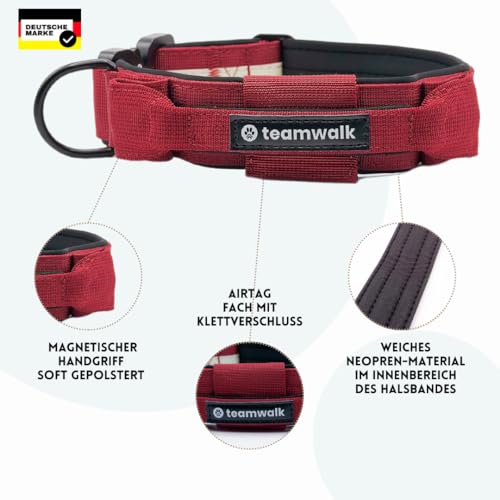 teamwalk® Premium Hundehalsband - mit Magnetgriff, Leuchtstreifen, Air-Tag Tasche, individuell einstellbar, weiche Polsterung, robuste Schnalle, mit passender Leine erhältlich, JETZ NOCH Leichter(M)