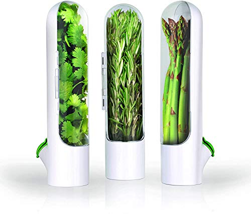 Sipandg Herb Saver Best Keeper for Freshest Produce Lasting Refrigerator Herb Keeper Containers Clear Herb Savor Pod Herb Storage Container for Cilantro Mint Parsley Asparagus (3Pcs)