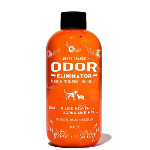 Angry Orange Pet Urine Odor Eliminator - Pack Of 2 Citrus Deodorizers For Strong Dog Or Cat Urine Smells On Carpet, Furniture & Floors - 24 Oz Spray & 8 Oz Concentrate - Puppy Supplies #TOP2