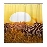 occasion : décoration votre salle de bains lors de vos vacances ou autres occasions, et comme un cadeau pour votre famille et vos amis