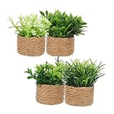 Options de décoration flexibles : chaque mini figurine de plante peut être mélangée à diverses plantes modèles ou à des présentoirs de bonsaïs de plantes miniatures pour des arrangements uniques, un pot de fleurs miniature pour ornement de maison de poupée, des mini ornements de plantes en pot