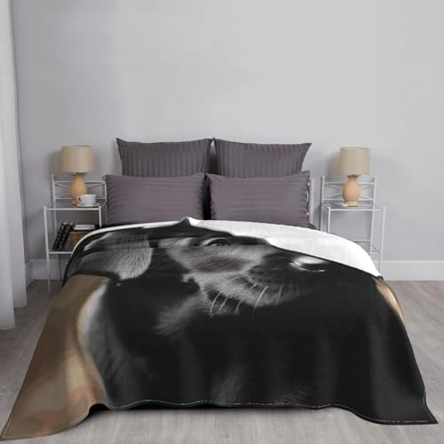 Couverture en micro polaire 152x127 cm pour lit et canapé