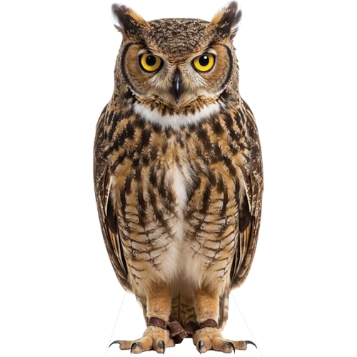 Image of Owl Life Size Cardboard Cutout, 4FT for Events & Party Decor | Life Size Fun Animal Standup Owl Cardboard Cutout for Birthday Parties, Photo Booth Props, Party Decorations, 1 PC