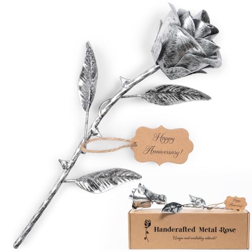 BESZONE Iron Rose Gifts for Her 6th Anniversary Metal Rose Everlasting 6 Year Wedding...