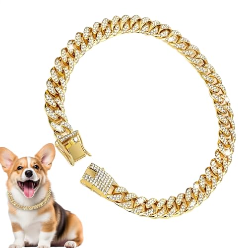 Goldkette Hundehalsband, Kristall- Hundekette, goldfarbenes Hundehalsband, Metall- Haustierhalsband mit Schnalle für Haustierpartys und mittelgroße Hunde