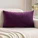 Miulee Velvet Soft Soild Decorative Square Throw Pillow Covers Cushion Case for Sofa Bedroom Car 12 x 20 Inch 30 x 50 Cm