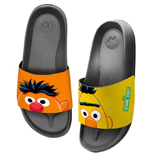 Popfunk Sesame Street Bert Ernie Peaking Unisex Adult Slides Sandals Officially Licensed Hypd Slydr Switch™3