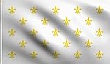 DMSE White Fleur De Lis Many French France Royal Flag 3X5 Ft Foot 100% Polyester 100D Flag UV Resistant (3' X 5' Ft Foot)