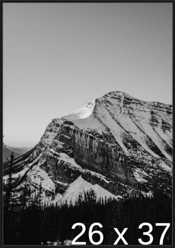 Frame It Easy 26 x 37 Satin Black Metal Frame (Ashford)