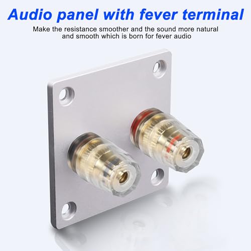 Terminal de caja de altavoz D-Type 4mm conector banana miniatura 5