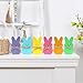 Easter Decorations- 6PCS Wooden Peeps Bunny Sign-Easter Bunny Decor for Spring Home Shelf Mantel Fireplace Table Windowsill Party Decor