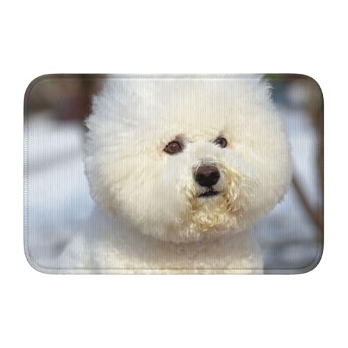 玄関マット ビション・フリーゼ 犬 バスマット 室内 屋外 足拭きマット カーペット おしゃれ 北欧 滑り止め付き 洗える ベットルーム 浴室 台所 寝室 業務用 家庭用 40×60cm