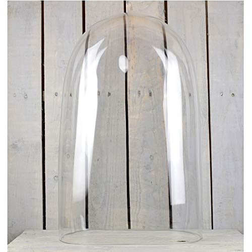 EMH Mouth Blown Clear Oval Glass Display Cloche Bell Dome 45 cm Tall