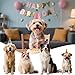 6 Pcs Colorful Mini Party Hats for Stuffed Animals, Birthday Party Felt Cone Hat for Cat Dolls Dog Rabbit Puppies Birthday Party Decorations